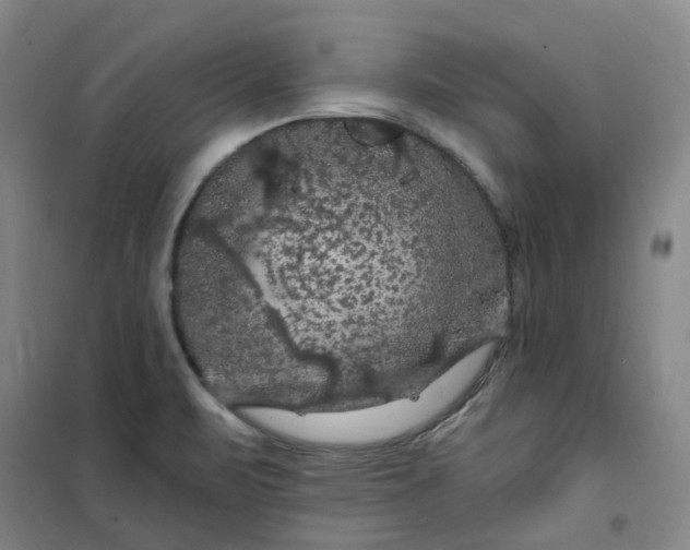 X0000101091471200807101537