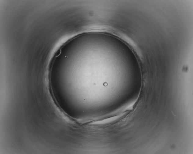 X0000101091472200807101537