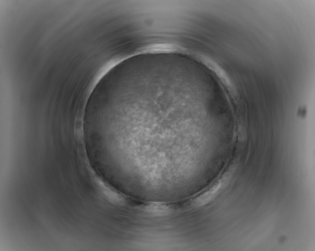 X0000101091473200807101537