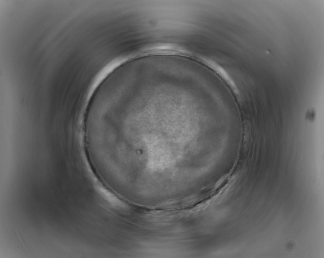 X0000101091474200807101537