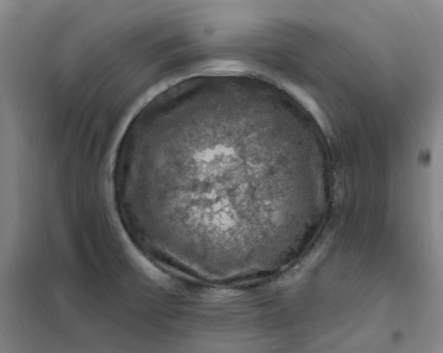 X0000101091475200807101537