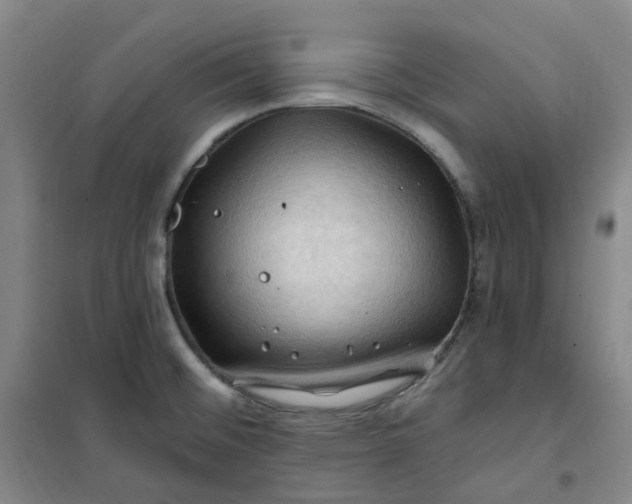 X0000101091476200807101537