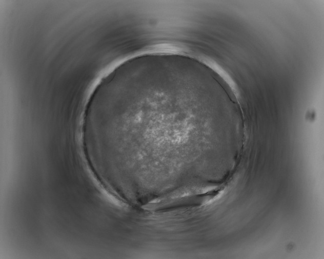 X0000101091477200807101537