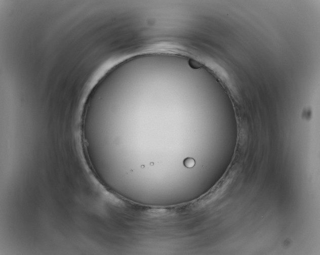 X0000101091478200807101537