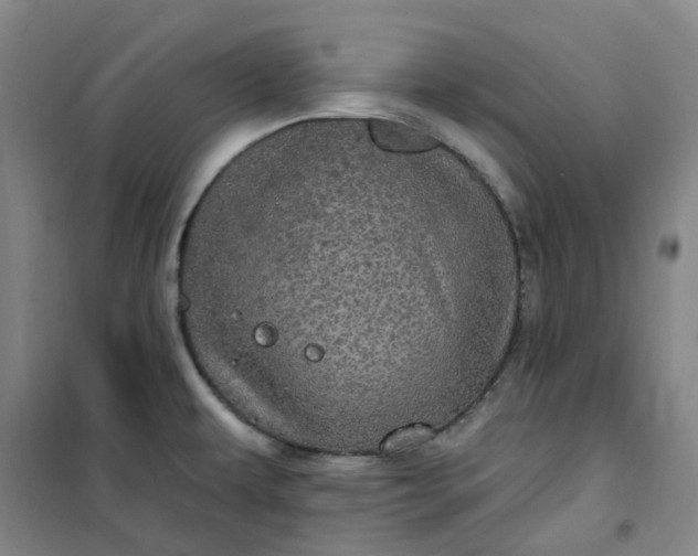 X0000101091479200807101537