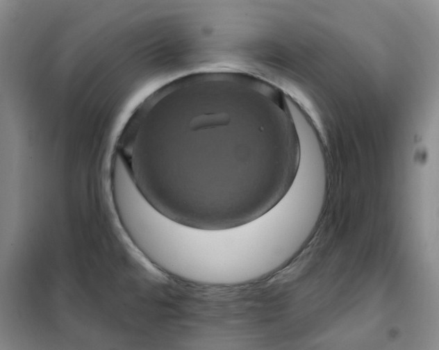 X0000101091480200807101537