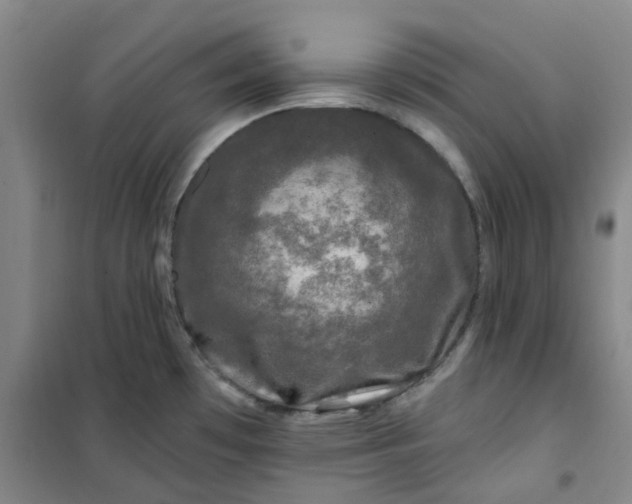 X0000101091481200807101537