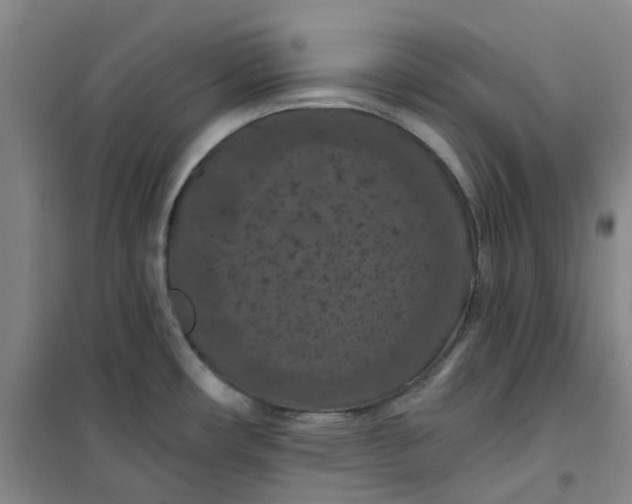 X0000101091482200807101537