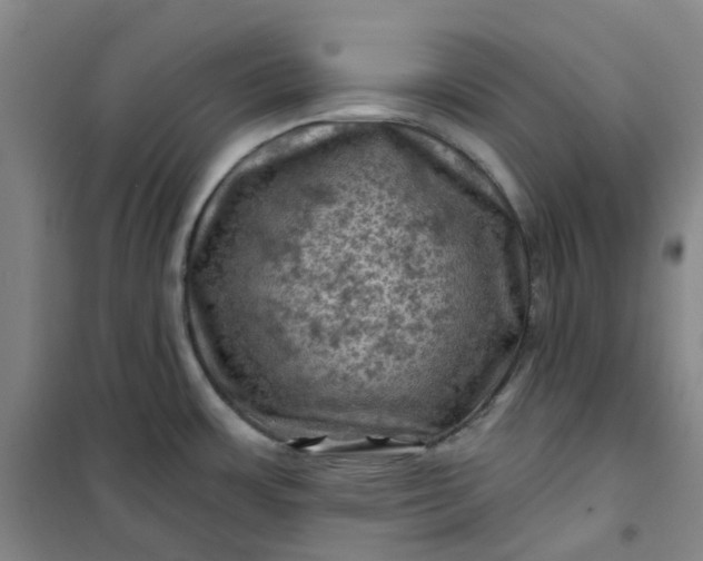 X0000101091483200807101537