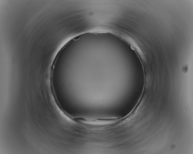 X0000101091484200807101537