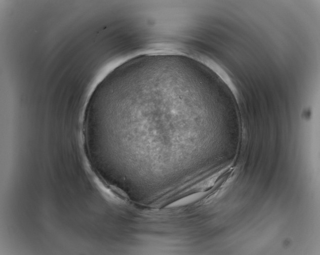 X0000101091485200807101537