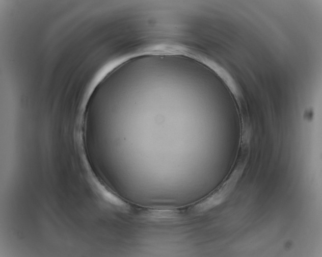 X0000101091486200807101537