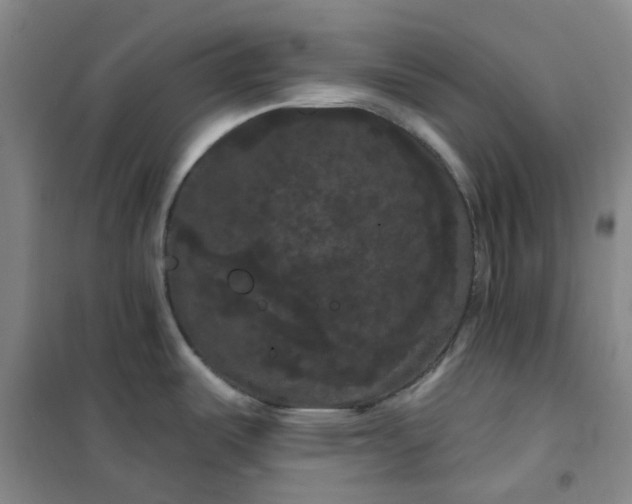 X0000101091487200807101537