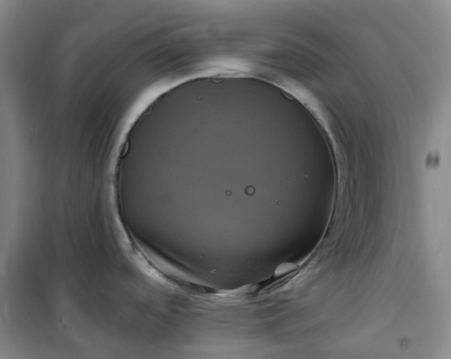 X0000101091488200807101537