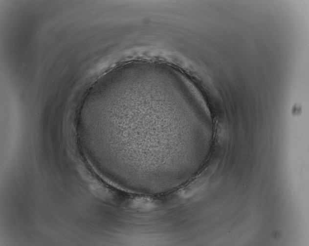 X0000101091489200807101536