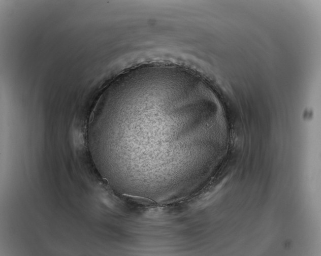 X0000101091490200807101536