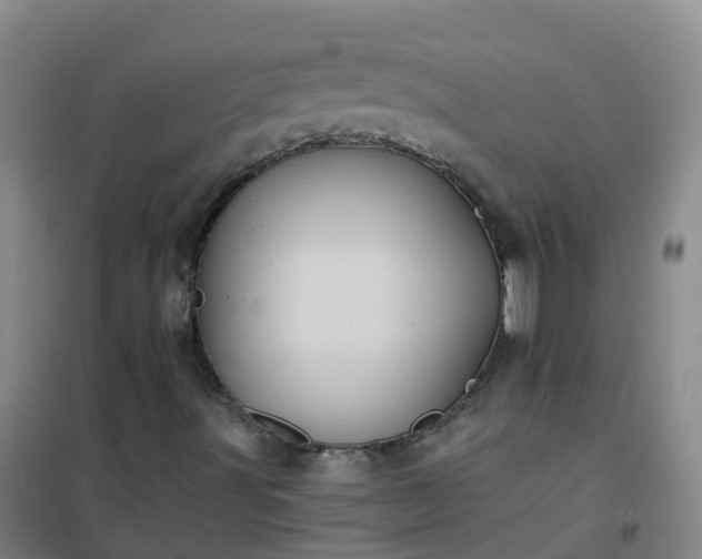 X0000101091491200807101536