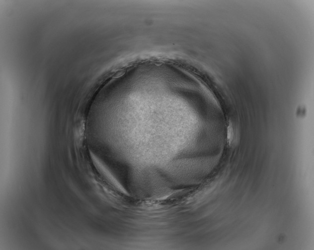 X0000101091492200807101536