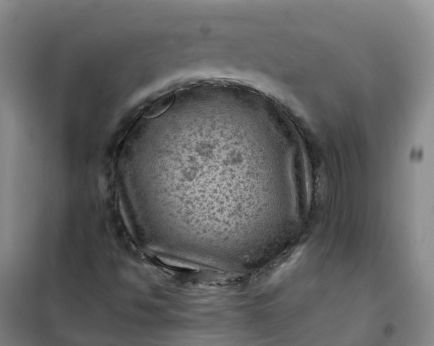 X0000101091494200807101536