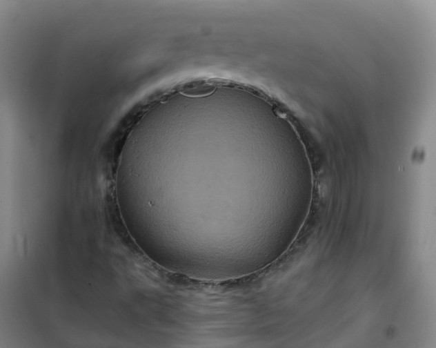 X0000101091495200807101536