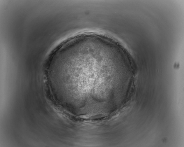 X0000101091496200807101536