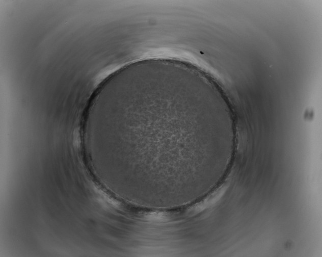 X0000101091497200807101536