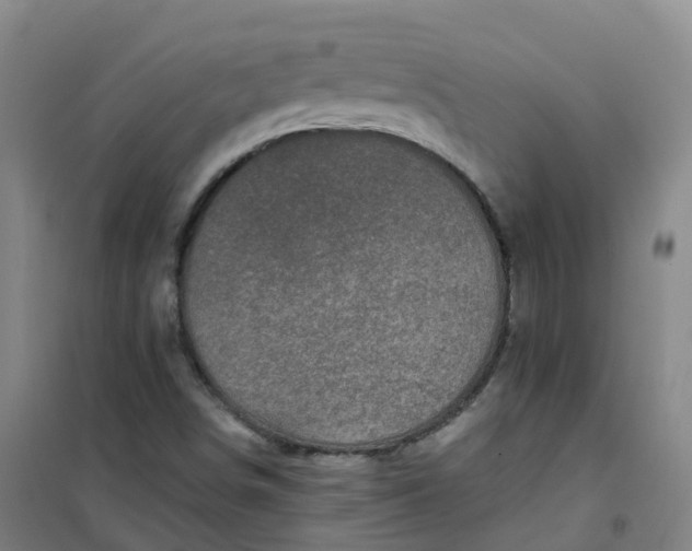 X0000101091498200807101536