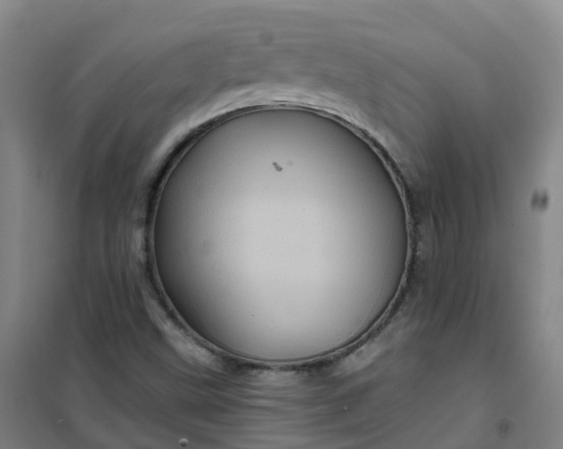 X0000101091499200807101536