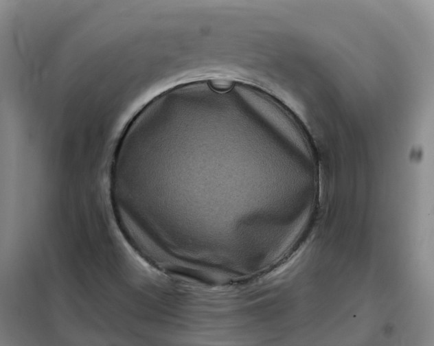 X0000101091500200807101536