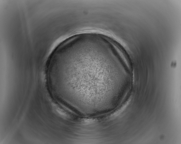 X0000101091501200807101536