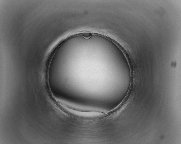 X0000101091502200807101536