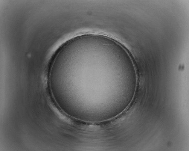 X0000101091503200807101536