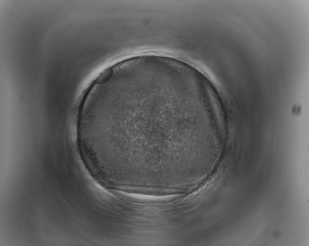 X0000101091504200807101536