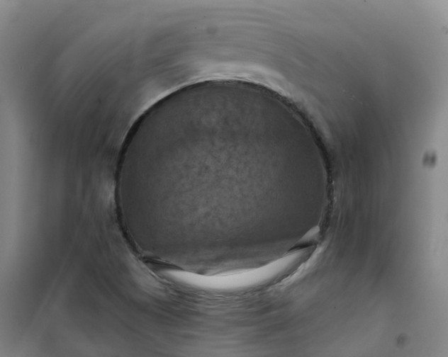 X0000101091505200807101536