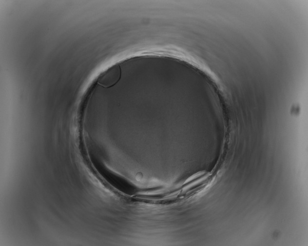 X0000101091506200807101536