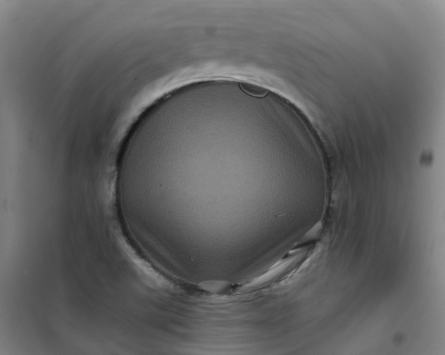 X0000101091507200807101536