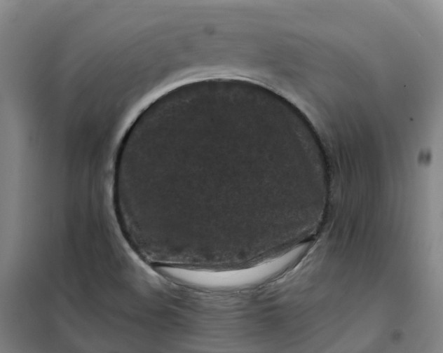 X0000101091508200807101536