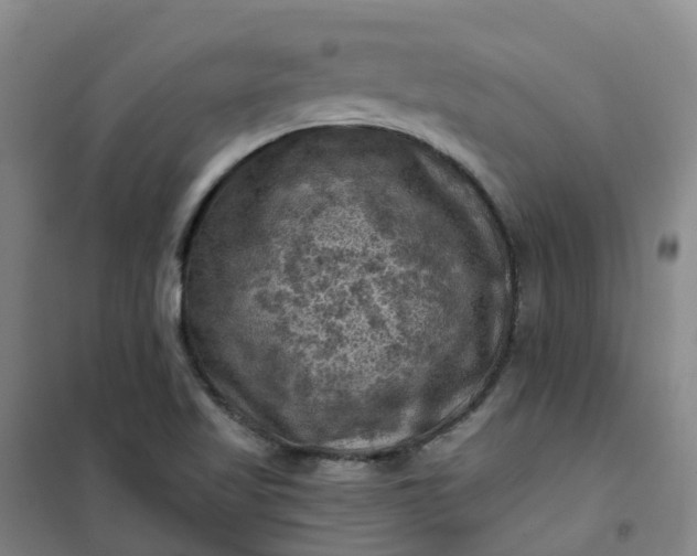 X0000101091509200807101536