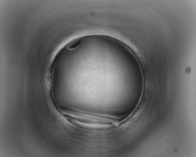 X0000101091510200807101536