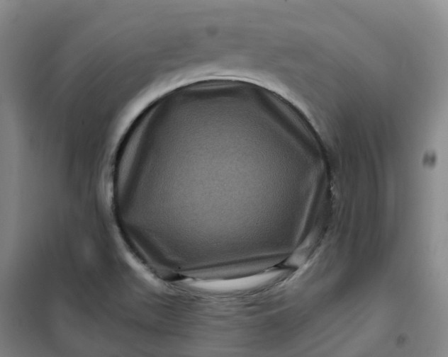 X0000101091511200807101536