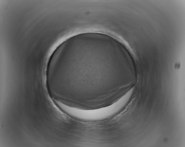 X0000101091512200807101536