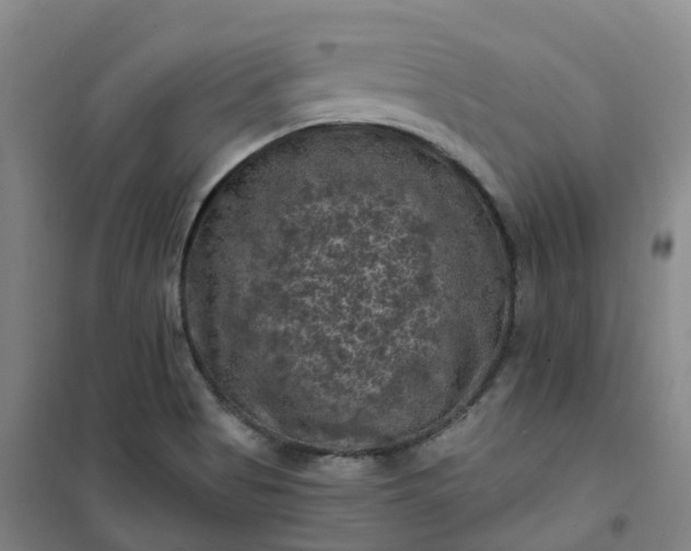 X0000101091513200807101536