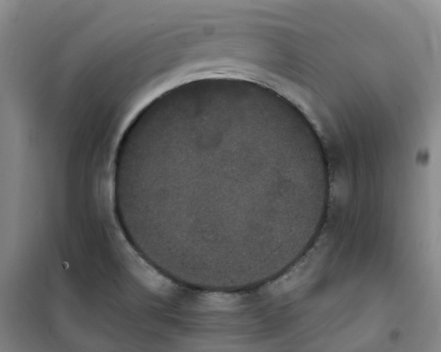 X0000101091514200807101536