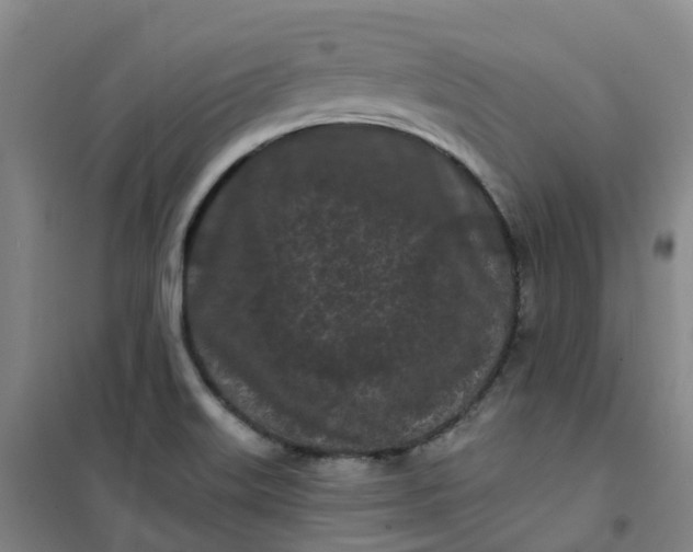 X0000101091515200807101536