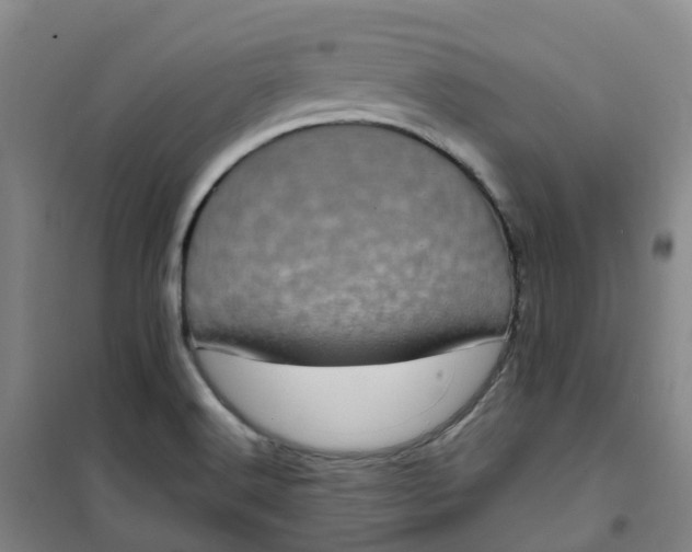 X0000101091516200807101536