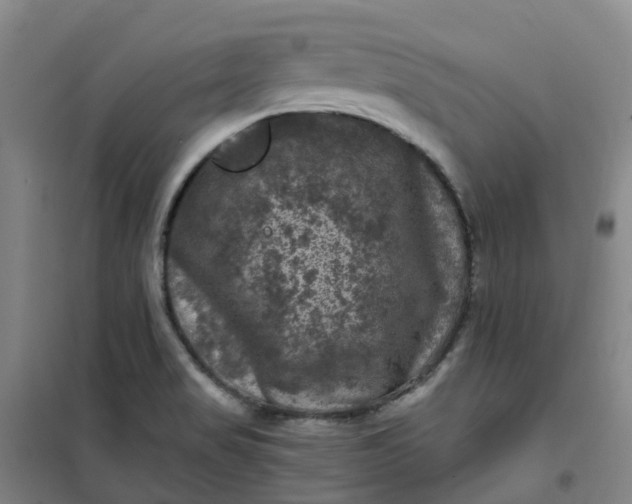 X0000101091517200807101536