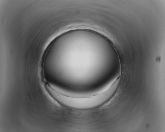 X0000101091518200807101536