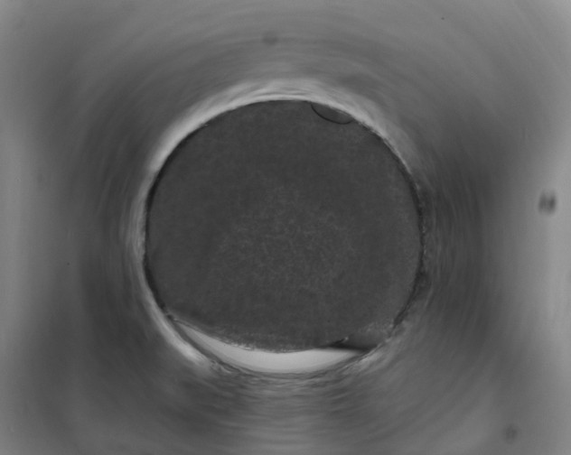 X0000101091519200807101536