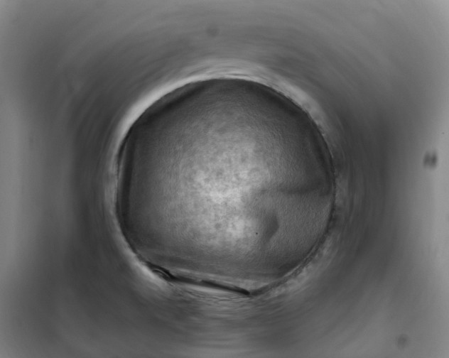 X0000101091520200807101536