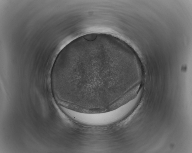 X0000101091521200807101536